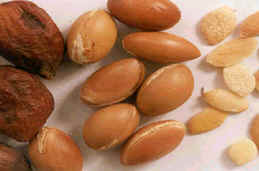 argan nuts
