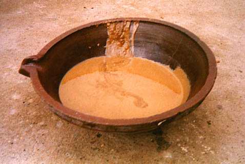 argan oil extraction