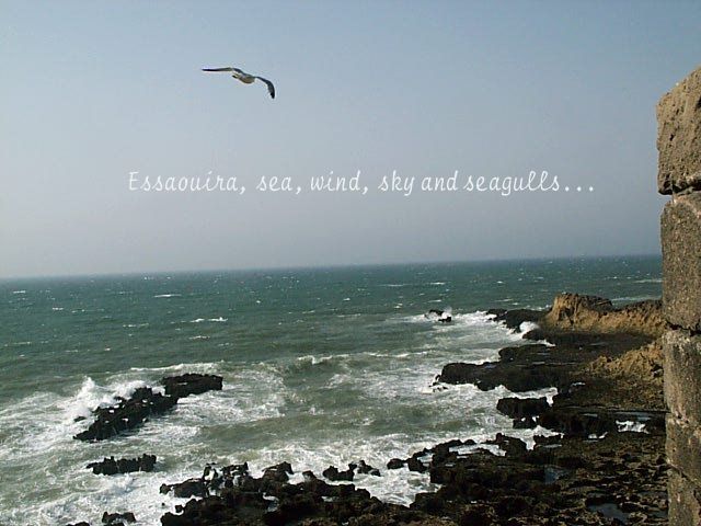 Essaouira Wind