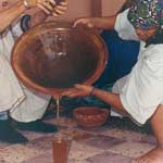 Moroccan ladies extracting argan oil